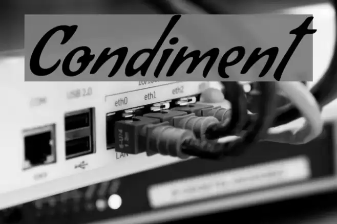 Condiment Font examples