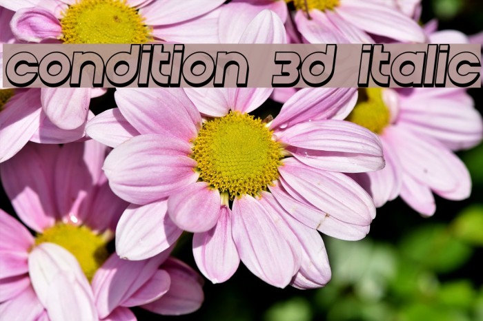 Condition 3D Italic Font examples