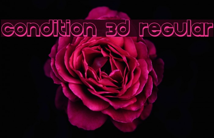 Condition 3D Regular Example 1