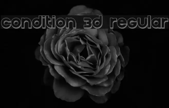 Condition 3D Regular Font examples