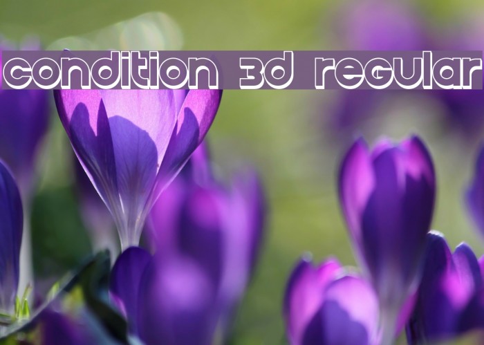 Condition 3D Regular Example 3