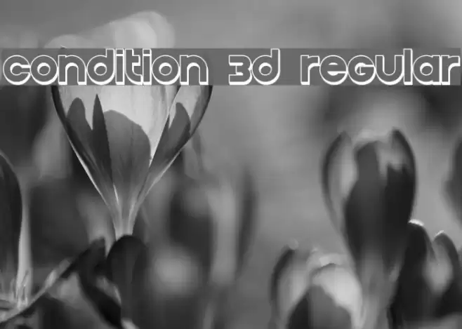 Condition 3D Regular Font examples