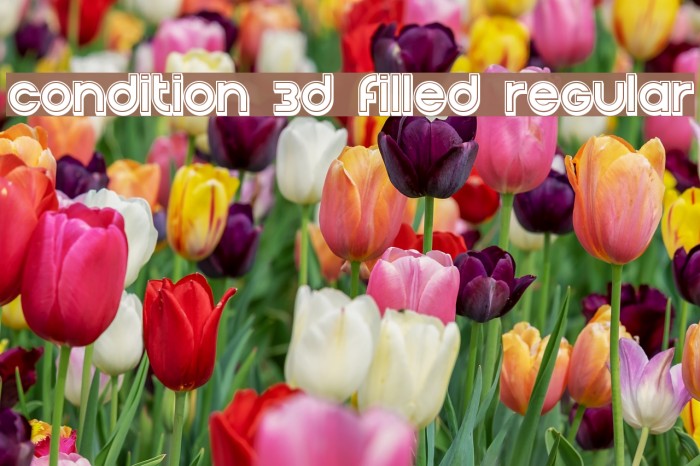 Condition 3d Filled Regular Font examples