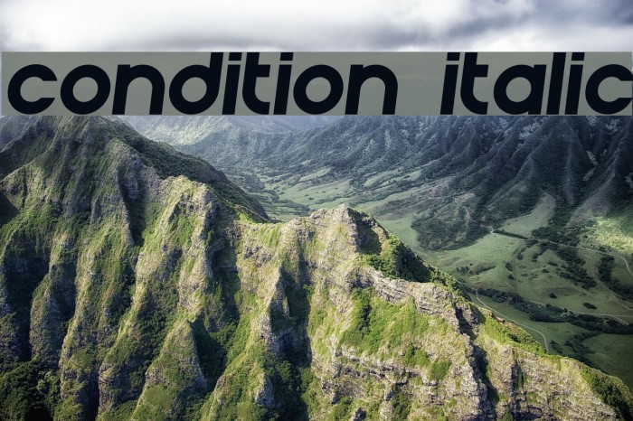 Condition Italic Font examples