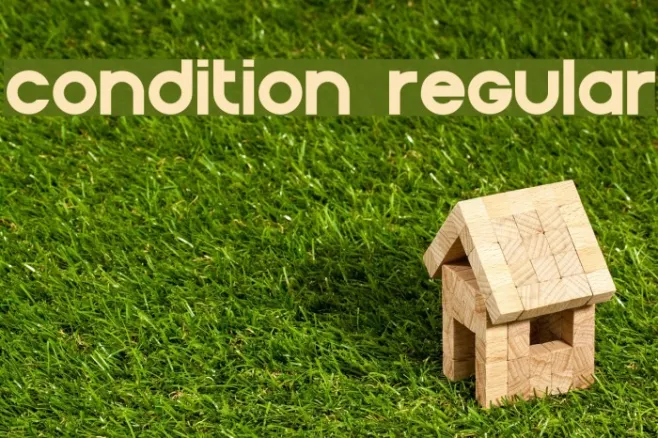 Condition Regular Example 2