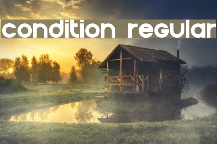Condition Regular Font examples