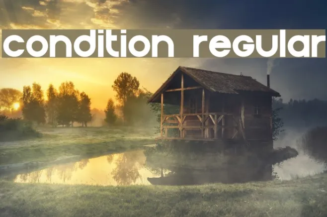 Condition Regular Example 3