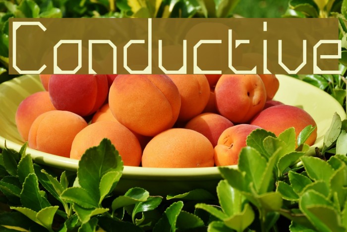 Conductive Font examples