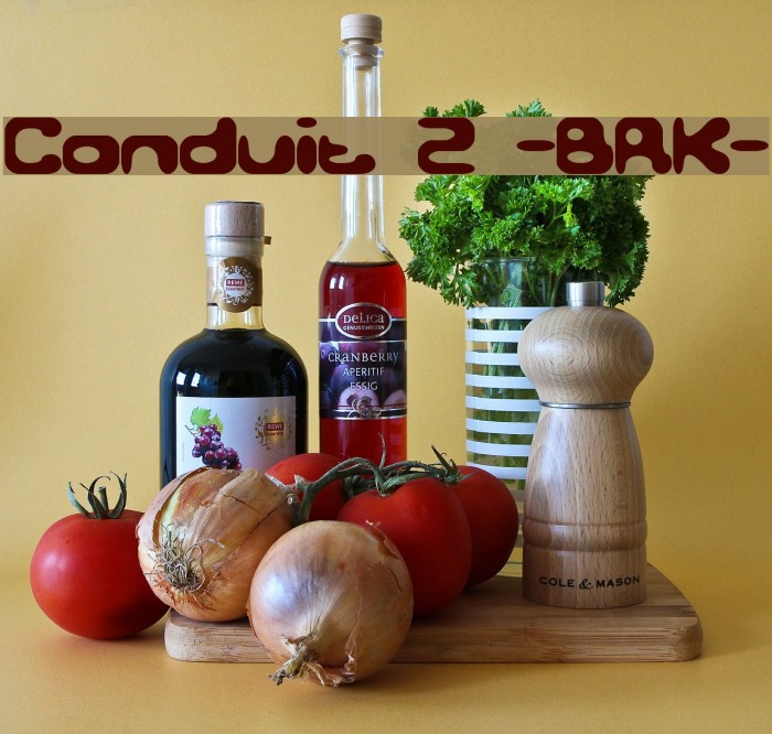 Conduit 2 -BRK- Font examples