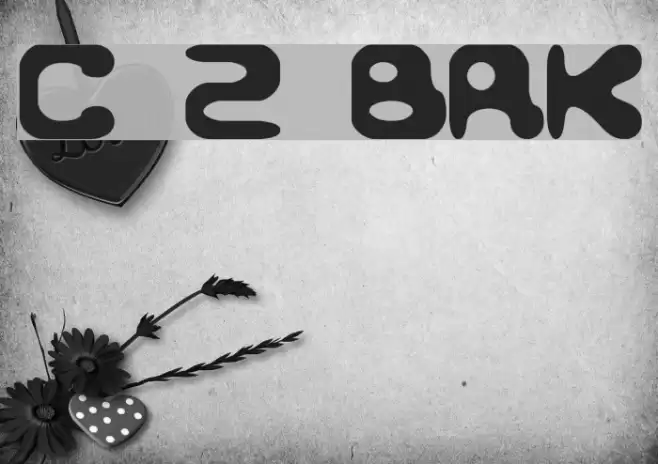 Conduit 2 BRK Font examples