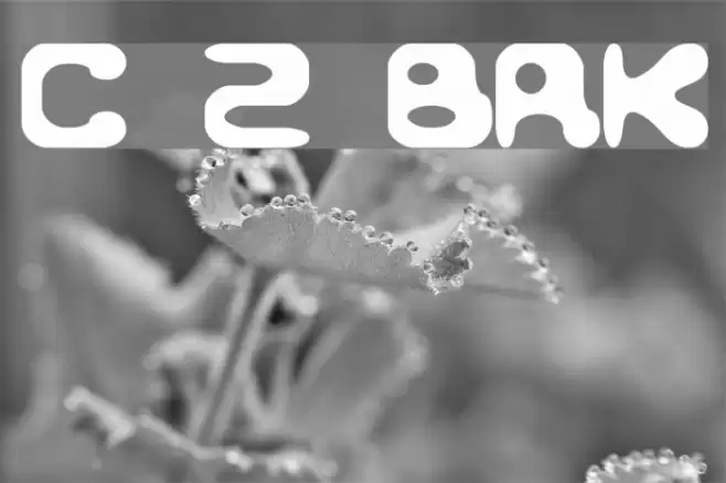 Conduit 2 BRK Font examples