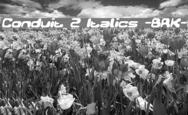 Conduit 2 Italics -BRK- Font examples