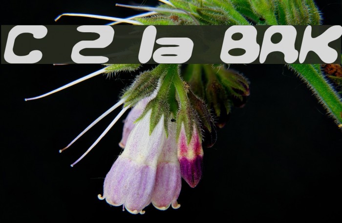 Conduit 2 Italics BRK Example 1