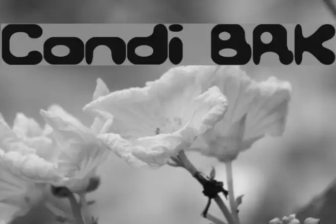 Conduit BRK Font examples