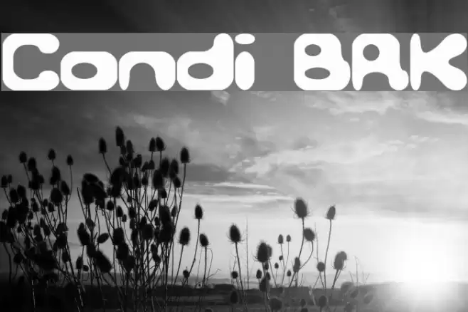 Conduit BRK Font examples