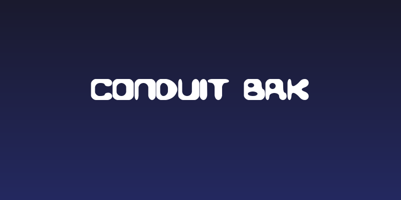 Conduit BRK Social Header