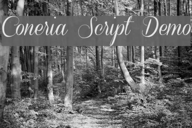 Coneria Script Demo Font examples