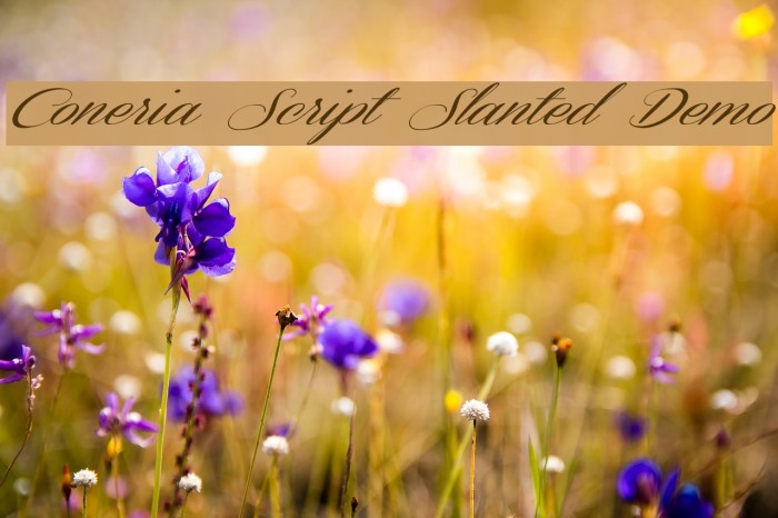 Coneria Script Slanted Demo Font examples
