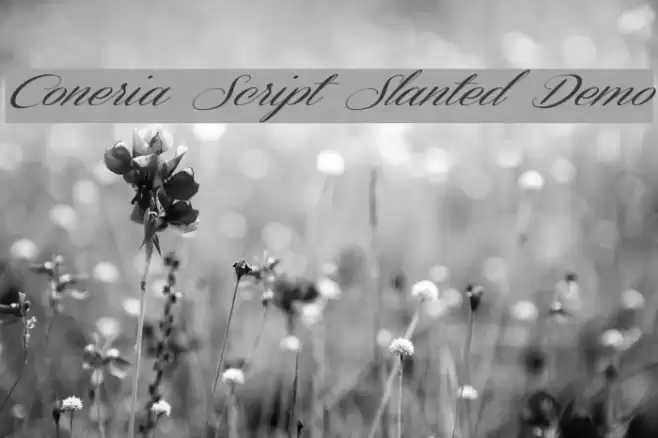 Coneria Script Slanted Demo Font examples