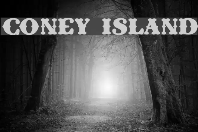 Coney Island Font examples