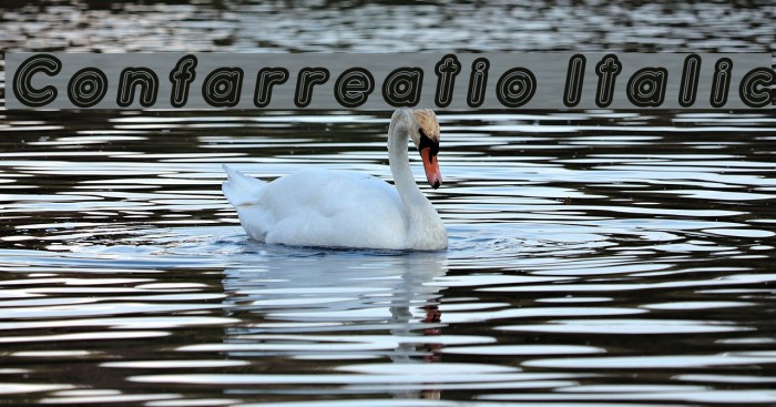 Confarreatio Italic Font examples