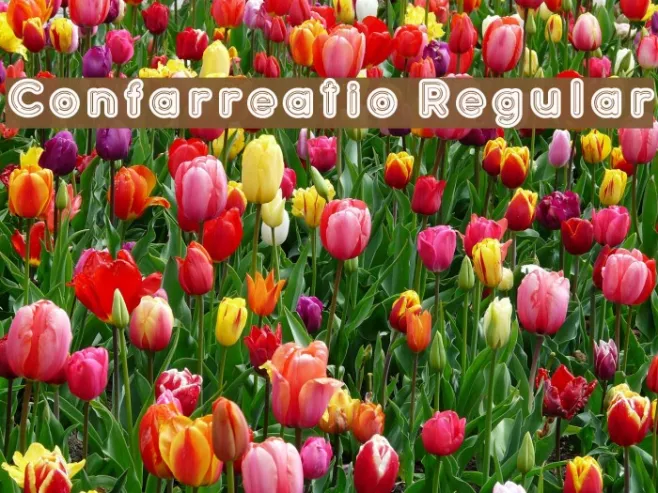 Confarreatio Regular Example 3