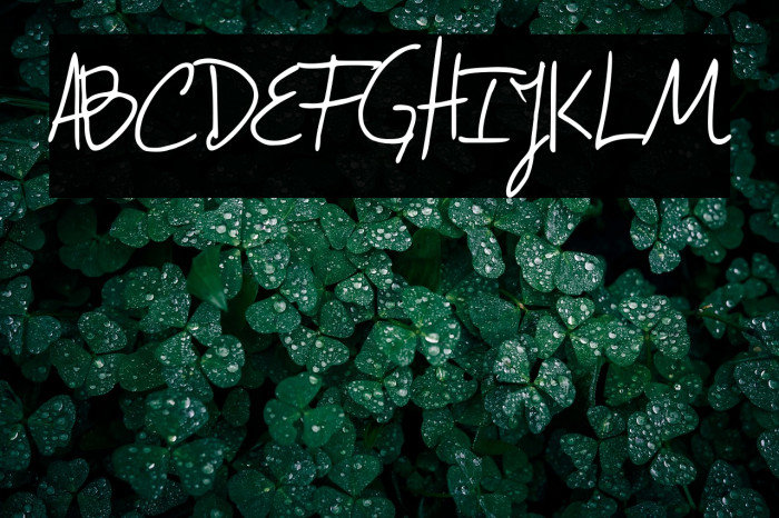 Confessions Example 1