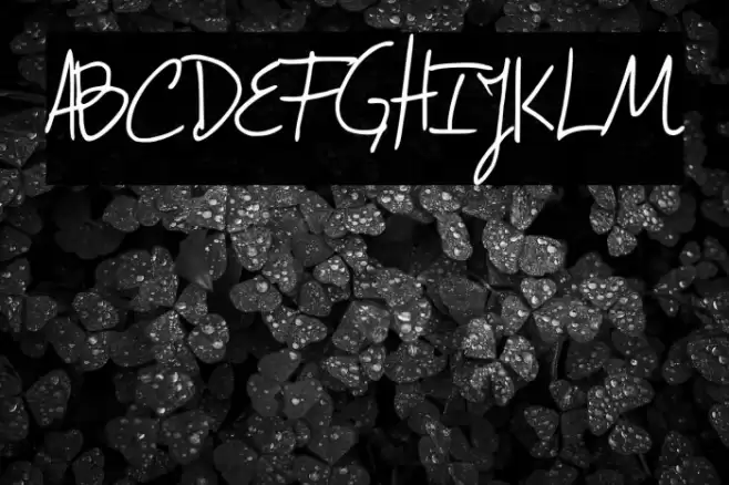 Confessions Font examples