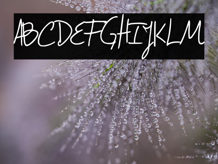 Confessions Example 3