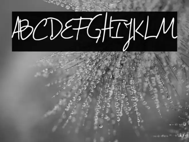 Confessions Font examples