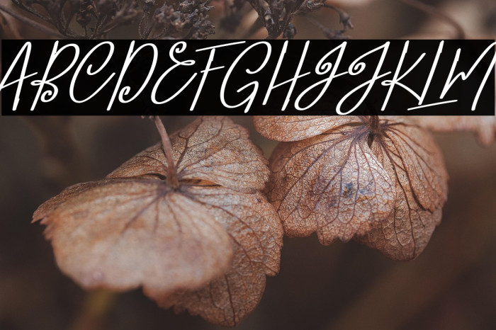 Confidante Example 2