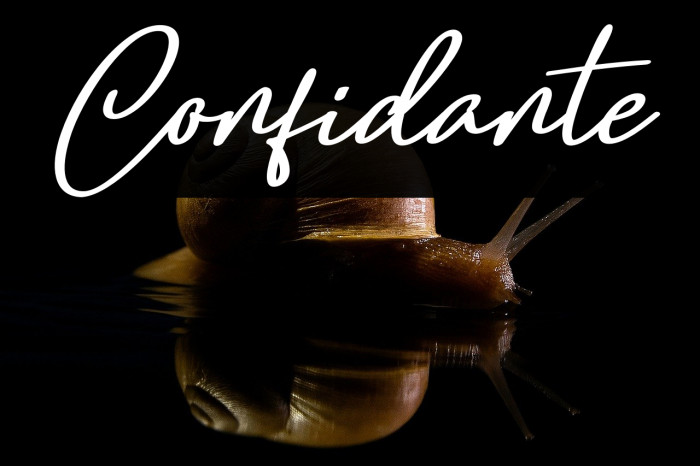 Confidante Example 1