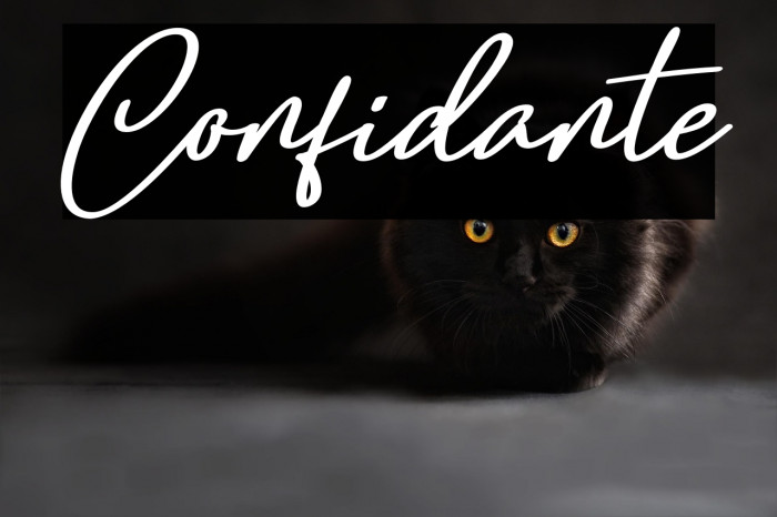 Confidante Example 3