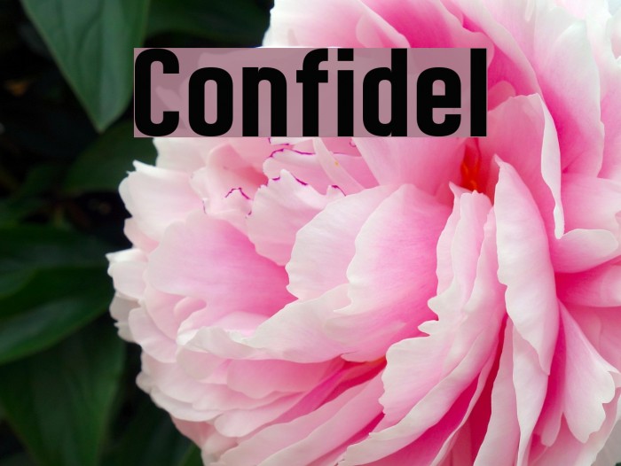 Confidel Font examples