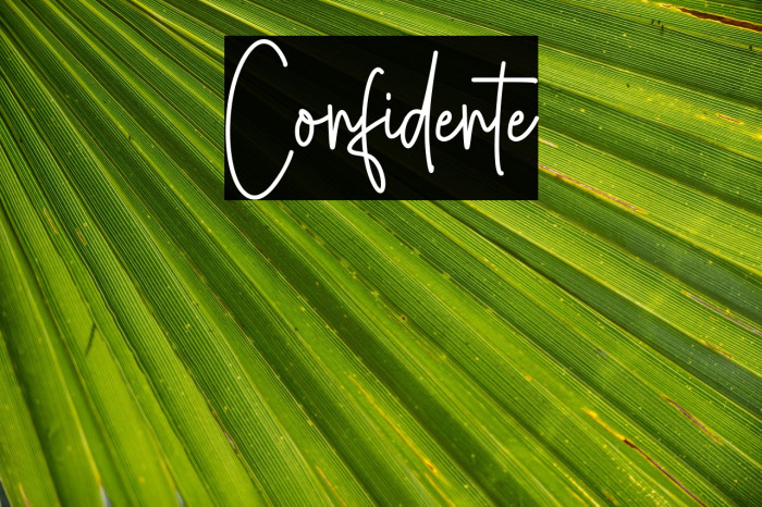 Confidente Example 3