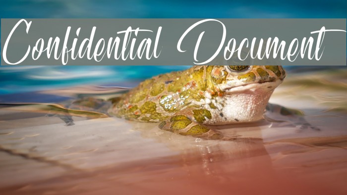 Confidential Document Font examples