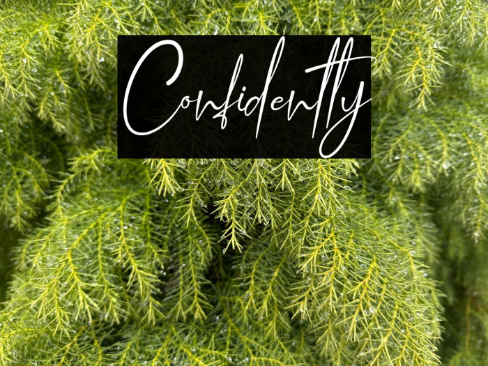 Confidently Example 1