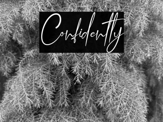 Confidently Font examples