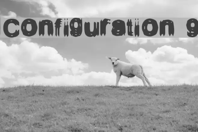 Configuration 9 フォント examples