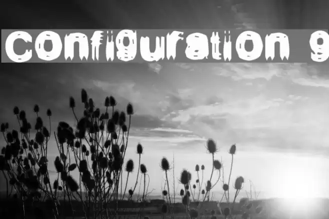 Configuration 9 フォント examples