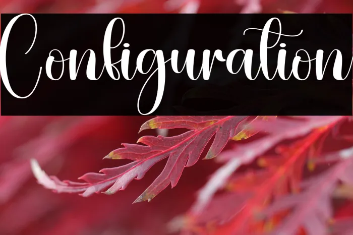 Configuration Example 3