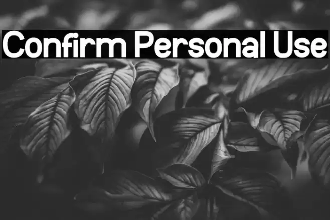 Confirm Personal Use フォント examples