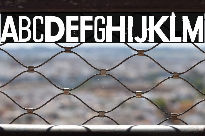 Conflict of interest Example 1