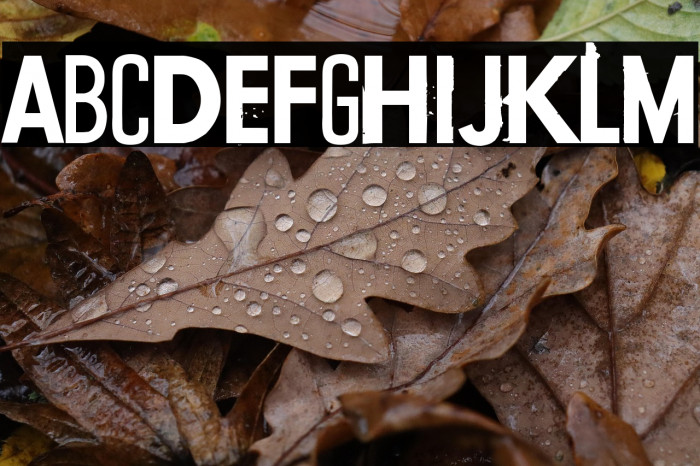 Conflict of interest Example 2