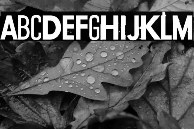 Conflict of interest Font examples