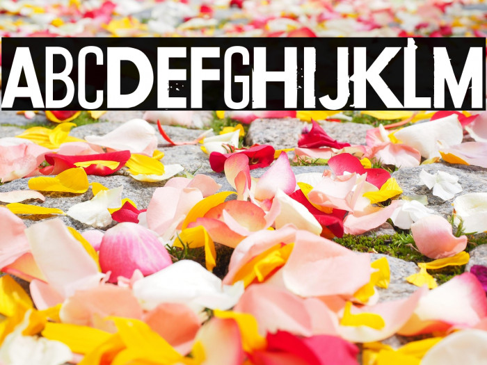 Conflict of interest Example 3