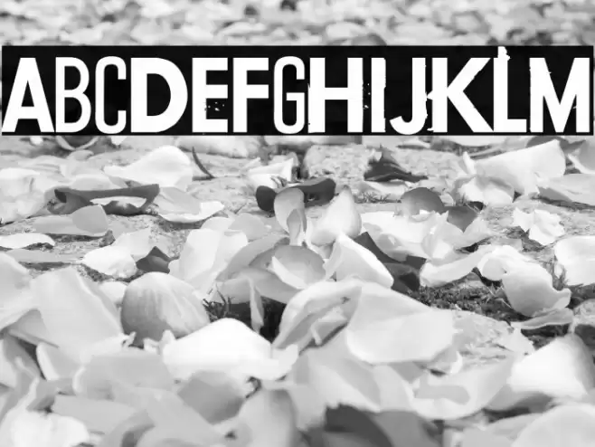 Conflict of interest Font examples