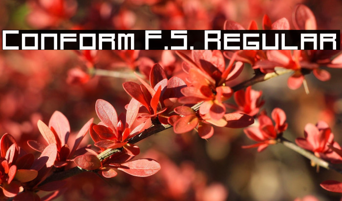 Conform F.S. Regular Example 1