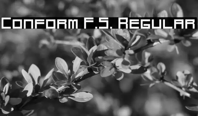 Conform F.S. Regular Font examples