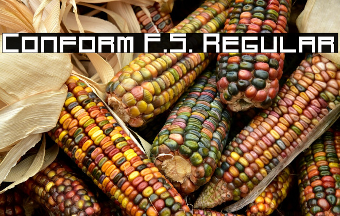 Conform F.S. Regular Example 3